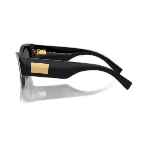 Butterfly Frame Sunglasses