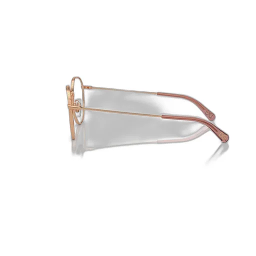 Round Frame Glasses