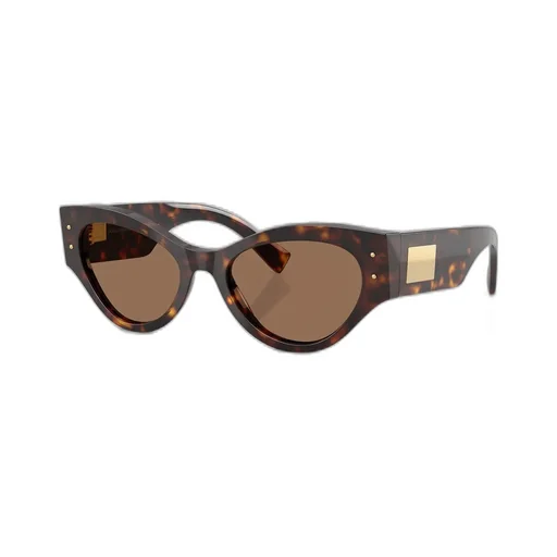 Butterfly Frame Sunglasses