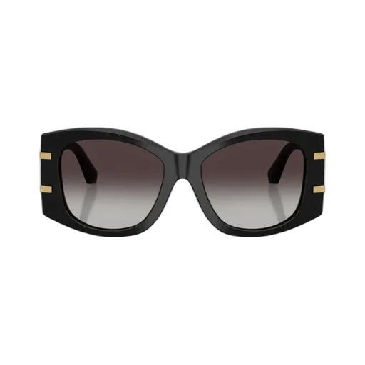 Butterfly Frame Sunglasses
