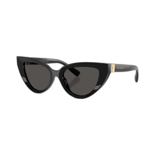 Cat-Eye Sunglasses