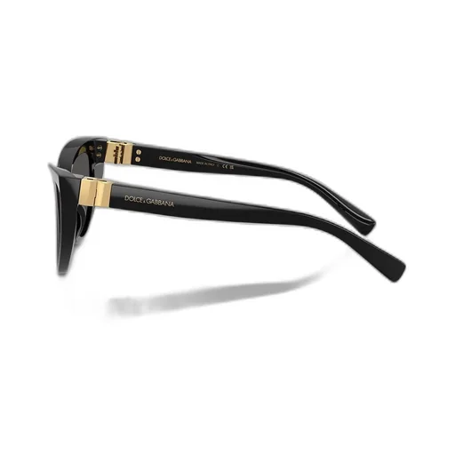 Cat-Eye Sunglasses