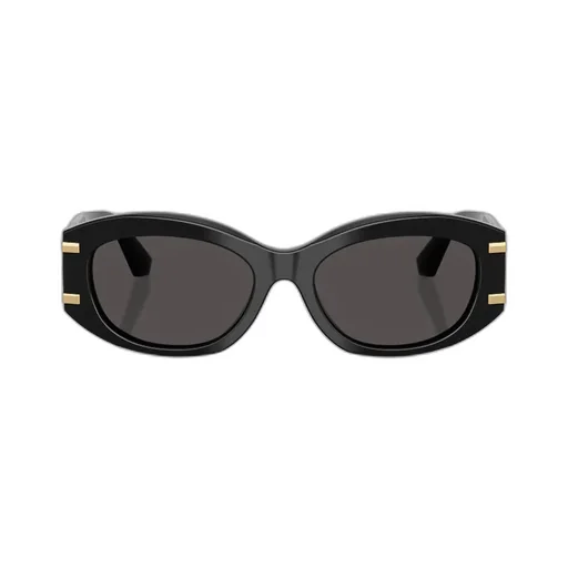 Oval Frame Sunglasses