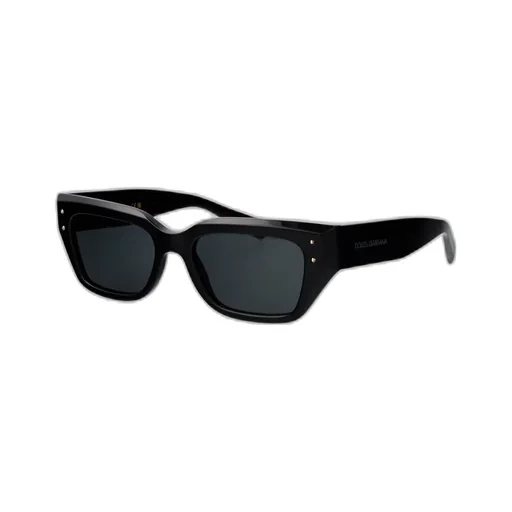 Frame Sunglasses