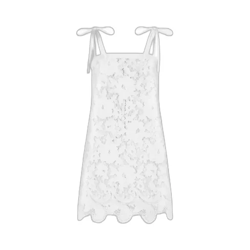 Floral Openwork Embroidered Mini Dress
