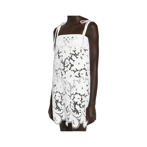 Floral Openwork Embroidered Mini Dress