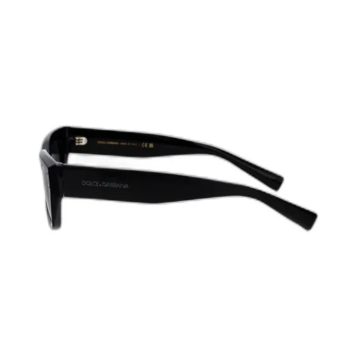 Frame Sunglasses