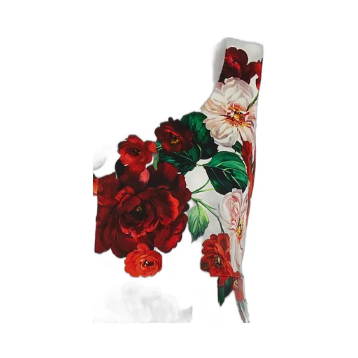 Floral Printed Sleeveless Dress