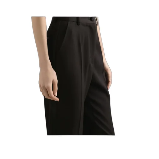 Pleated Dress Pants