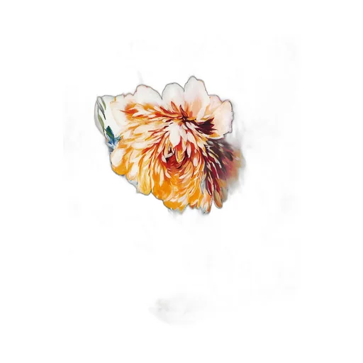 Floral Print Scarf
