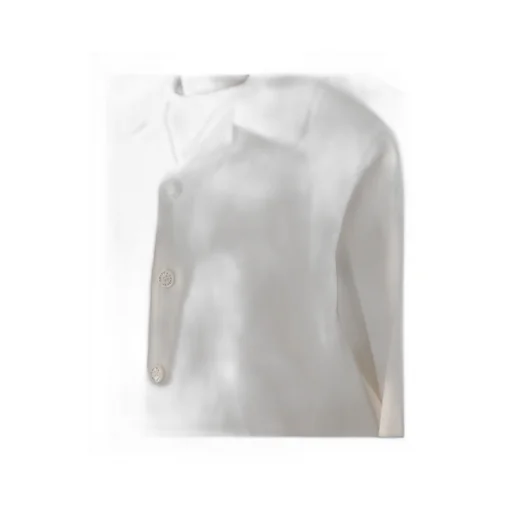 Long-Sleeved Hawaii Shirt