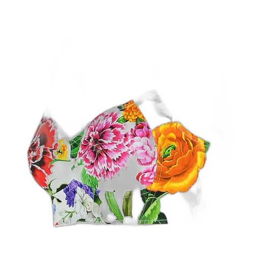 Floral Printed Cropped Top