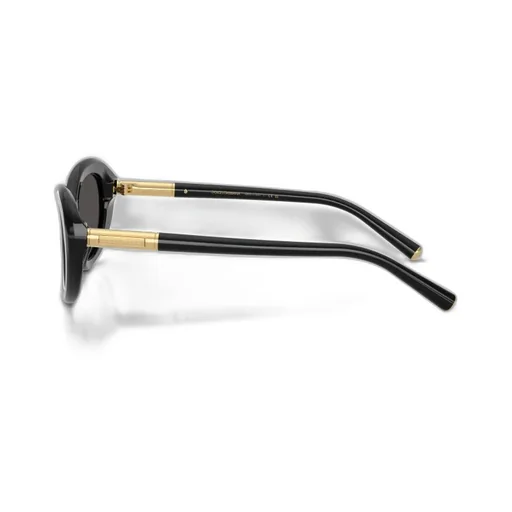 Oval Frame Sunglasses