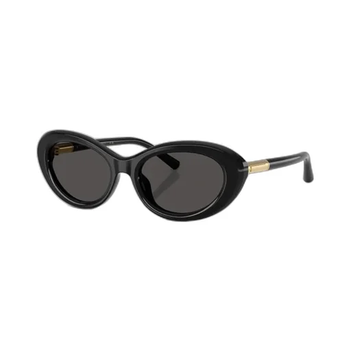 Oval Frame Sunglasses