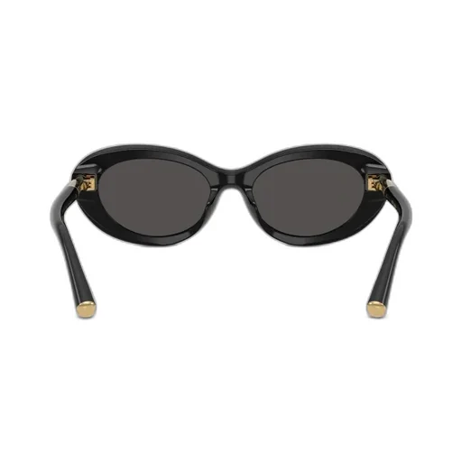 Oval Frame Sunglasses