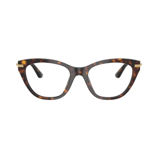 Cat Eye Frame Glasses