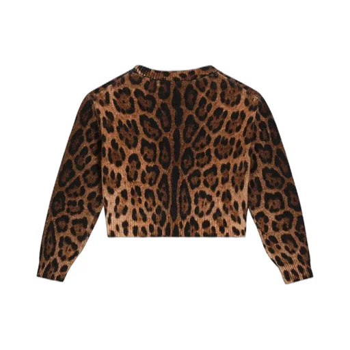 Leopard-Print Crew-Neck Pullover
