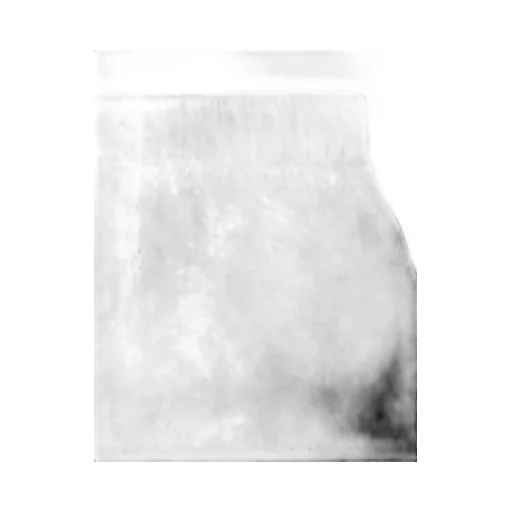 Logo-Embroidered Shorts