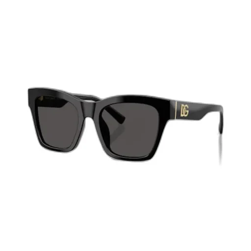 Square Frame Sunglasses