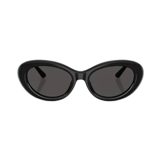 Oval Frame Sunglasses