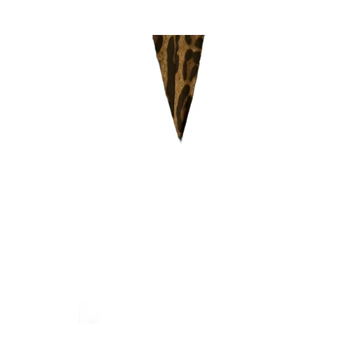 Single-Breasted Striped Coat
