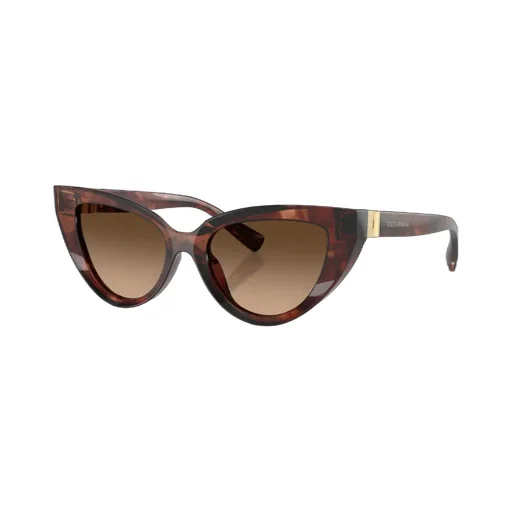 Full Frame Sunglasses
