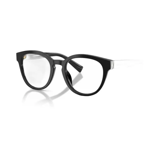 Round Frame Glasses