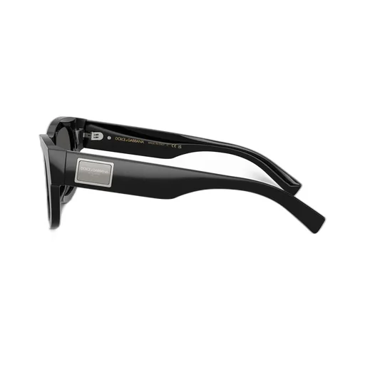 Square Frame Sunglasses