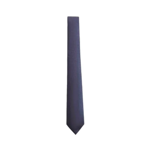 Pointed Tip Tie