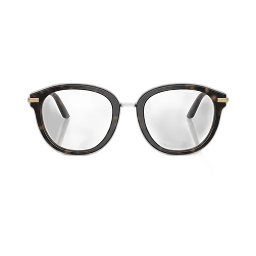 Round Frame Glasses