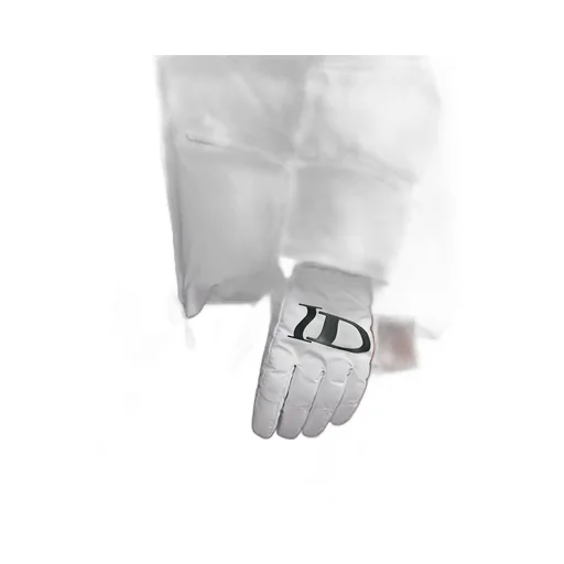 Dior And Lewis Hamilton Ski Gloves