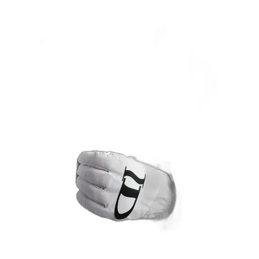 Dior And Lewis Hamilton Ski Gloves