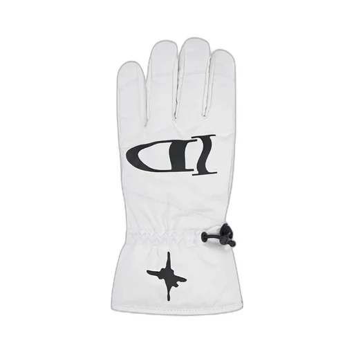 Dior And Lewis Hamilton Ski Gloves