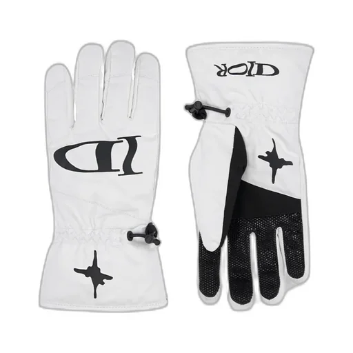 Dior And Lewis Hamilton Ski Gloves