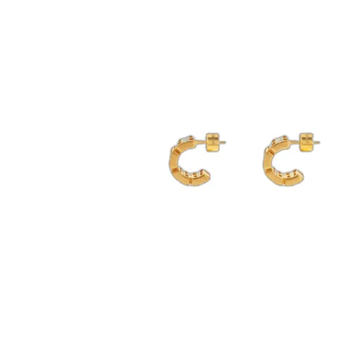 Nano Hoop Earrings