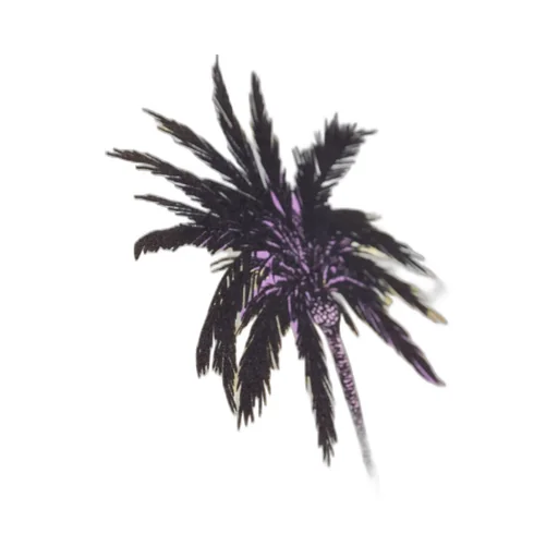 Hawaiian Camp Shirt
