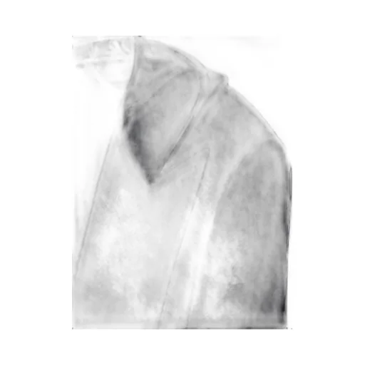 Hooded Short Coat