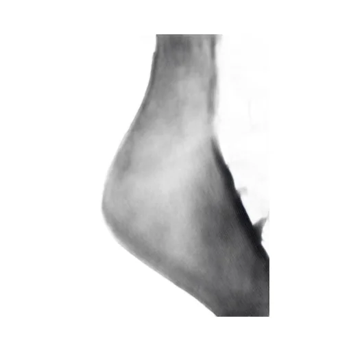 Logo Intarsia Socks