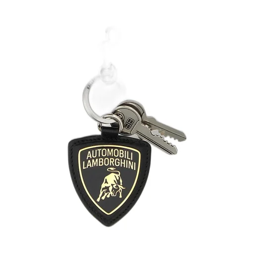 Shield Charm Keyring