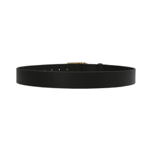 Bb Logo Buckle Belt