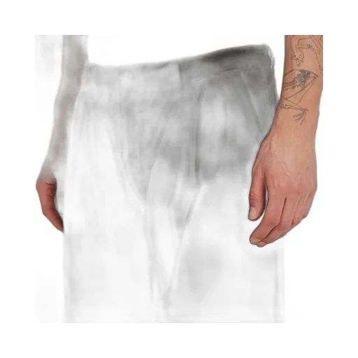 Trousers Pleated