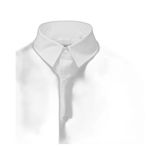 Straight-Point Collared Buttoned Shirt