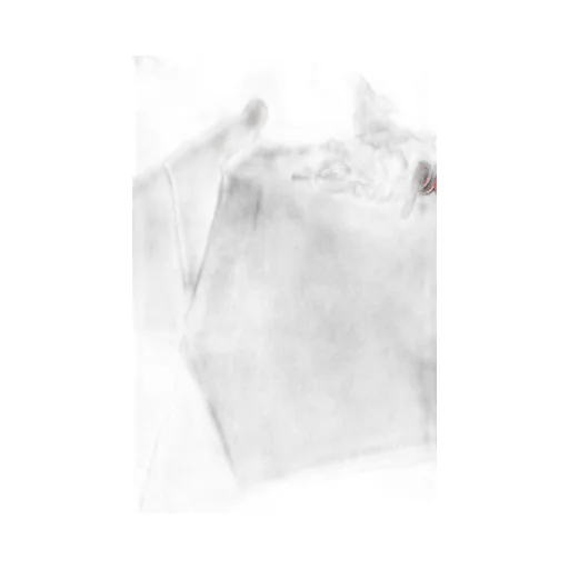 Pegasus Printed Jersey Hoodie