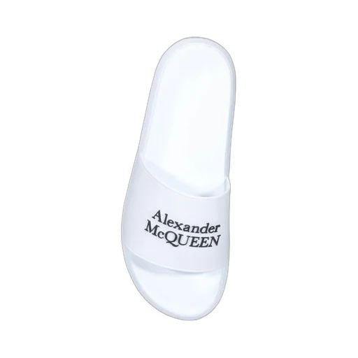 Logo Printed Slides