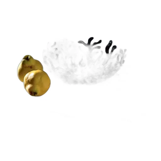 Mediterraneo Fruit Holder