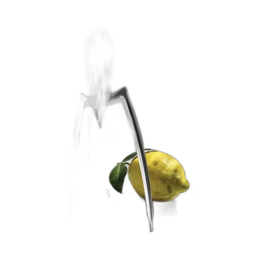 Juicy Salif