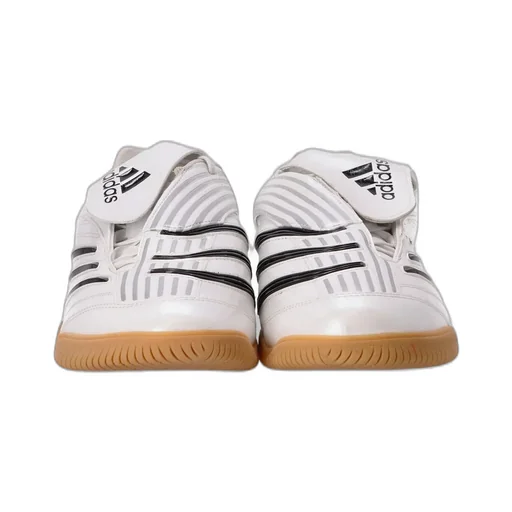 Predator Sala Shoes