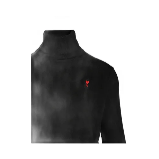 Ami De Coeur Turtleneck Jumper