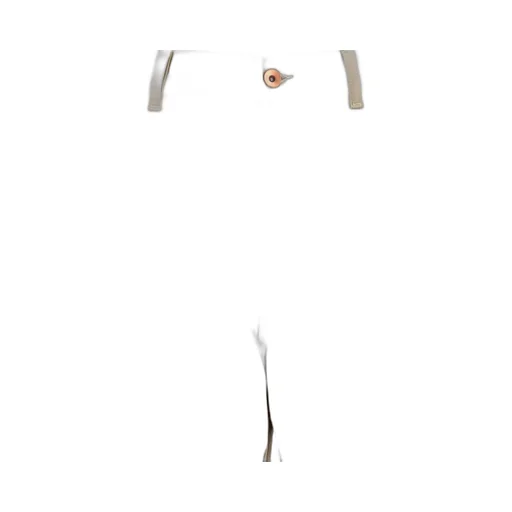 Carpenter Cargo Pants