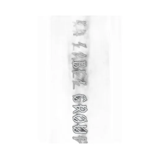 Logo Printed Scarf